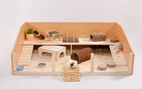 056500 Meerschweinchen, Bodengehege