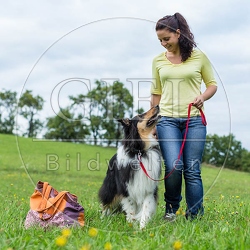 070862 Collie und Frau