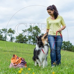 070863 Collie und Frau