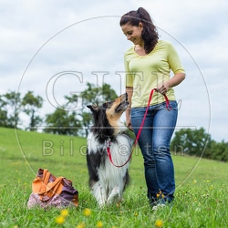 070864 Collie und Frau