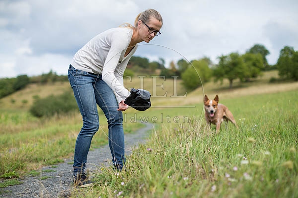 076831 Frau sammelt Hundekot auf
