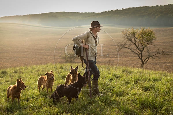 078483 Schaefer und Altdeutsche Huetehunde