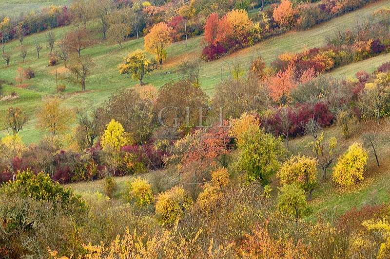 Hassberge im Herbst, Streuobstwiesen bei Königsberg 087216.jpg