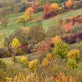 087216 herbstliche Landschaftsaufnahme, Hassberge