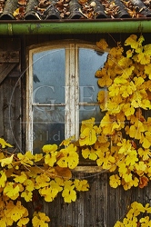 087239 Haeuschen auf Weinberg, Hassberge