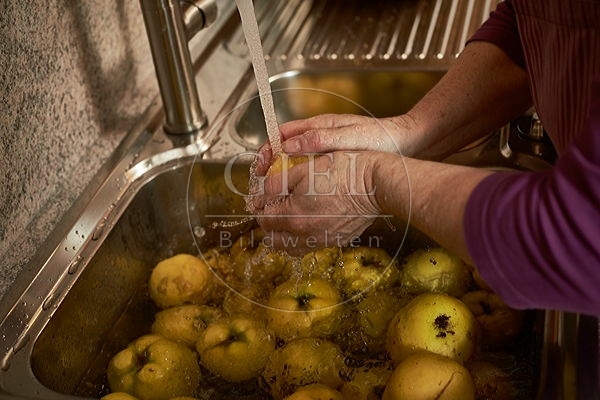 091428 Herstellung von Quittensaft