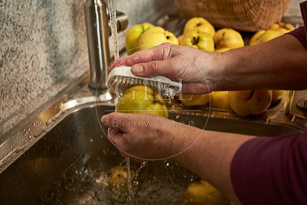091440 Herstellung von Quittensaft