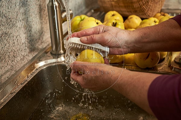 091441 Herstellung von Quittensaft