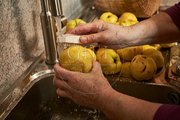 091443 Herstellung von Quittensaft