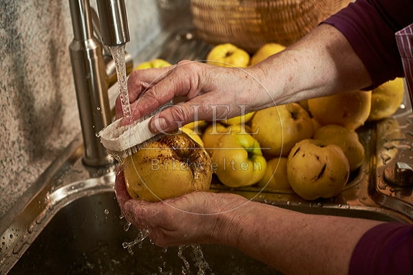 091445 Herstellung von Quittensaft