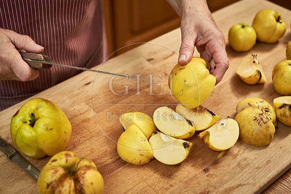 091469 Herstellung von Quittensaft