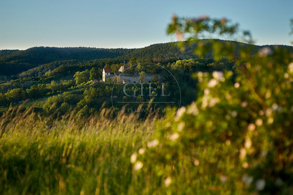 Hassberge, Burg Königsberg, Landschaftsaufnahme 094684.jpg
