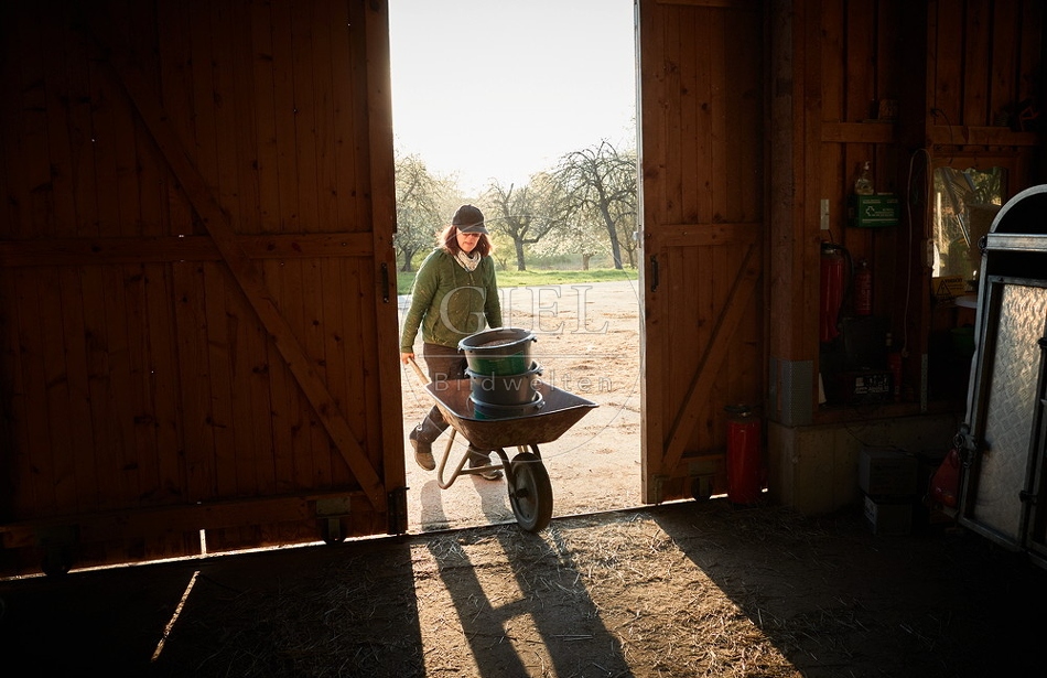 097774 Schäferin bei der Stallarbeit