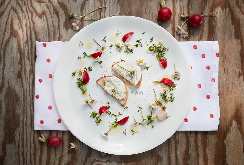 097825 Karamelisierte Apfelscheiben mit Ziegenfrischkäse