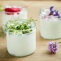 098120 Schafsjoghurt mit Kräuter und Gemüse