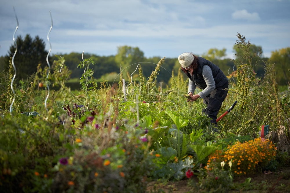 100677 Frau arbeitet im Garten