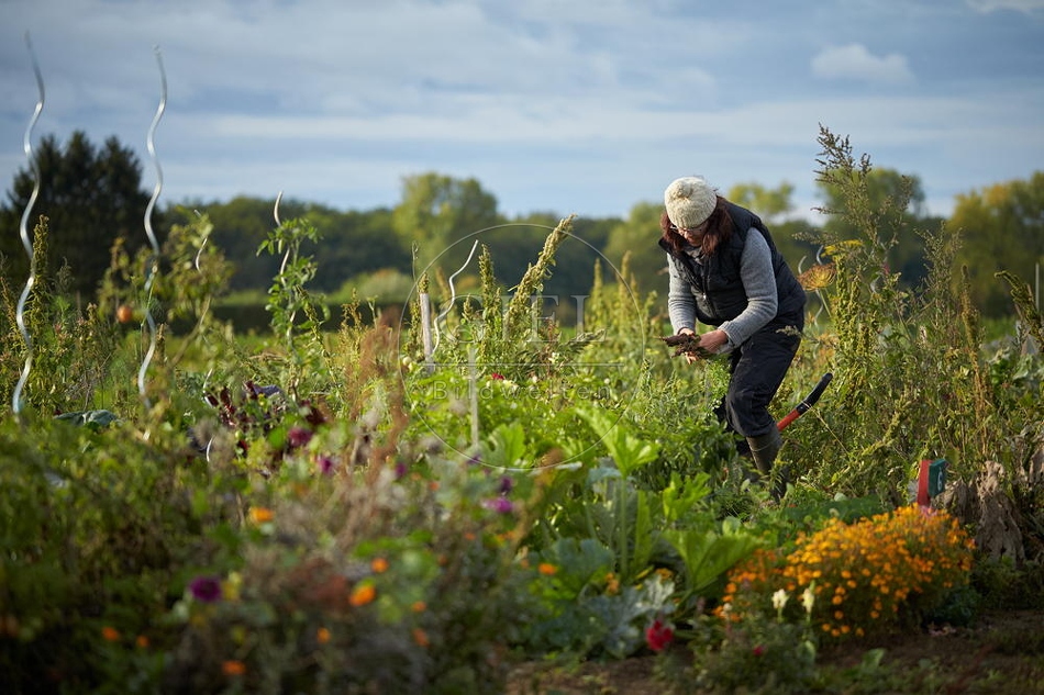 100678 Frau arbeitet im Garten