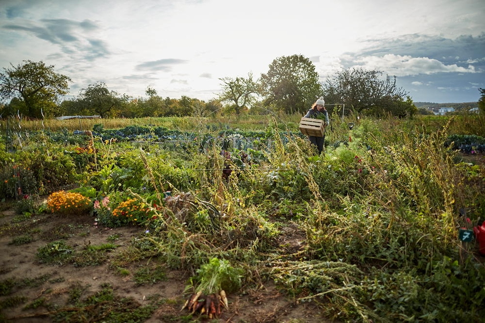100679 Frau arbeitet im Garten