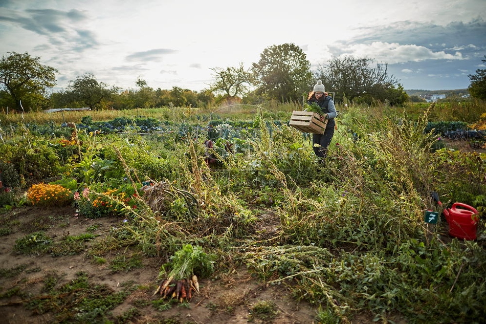 100680 Frau arbeitet im Garten