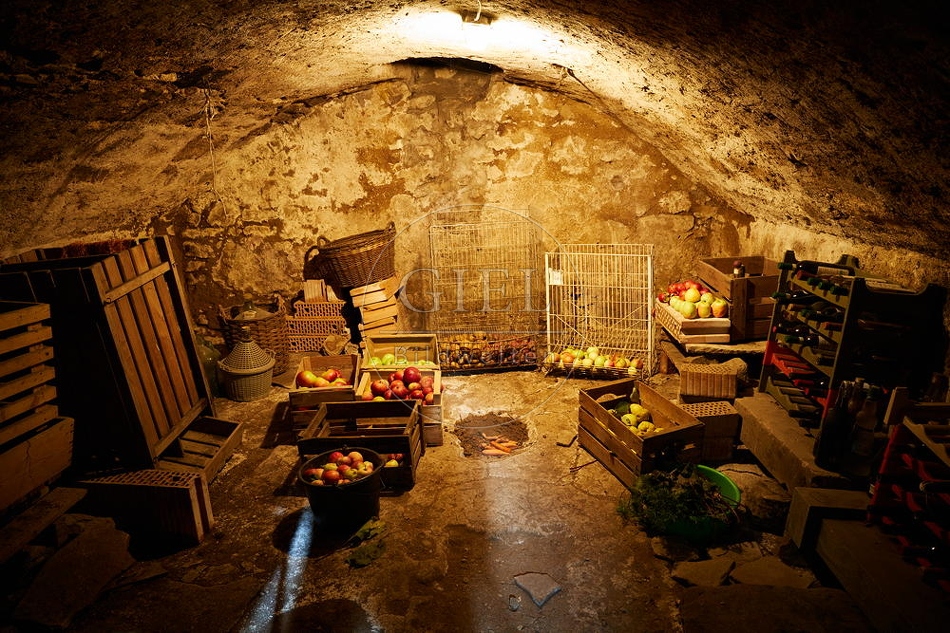 100733 Keller in dem Obst gelagert wird
