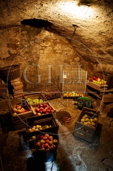 100734 Keller in dem Obst gelagert wird