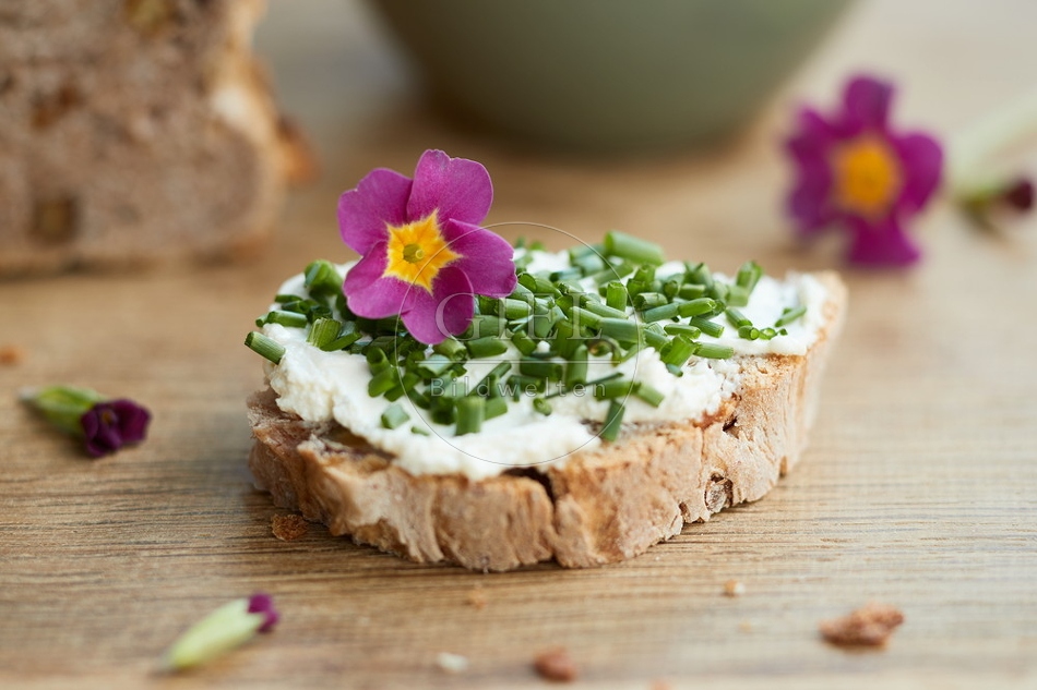 103843 Frischens Brot mit Ziegenfrischkäse
