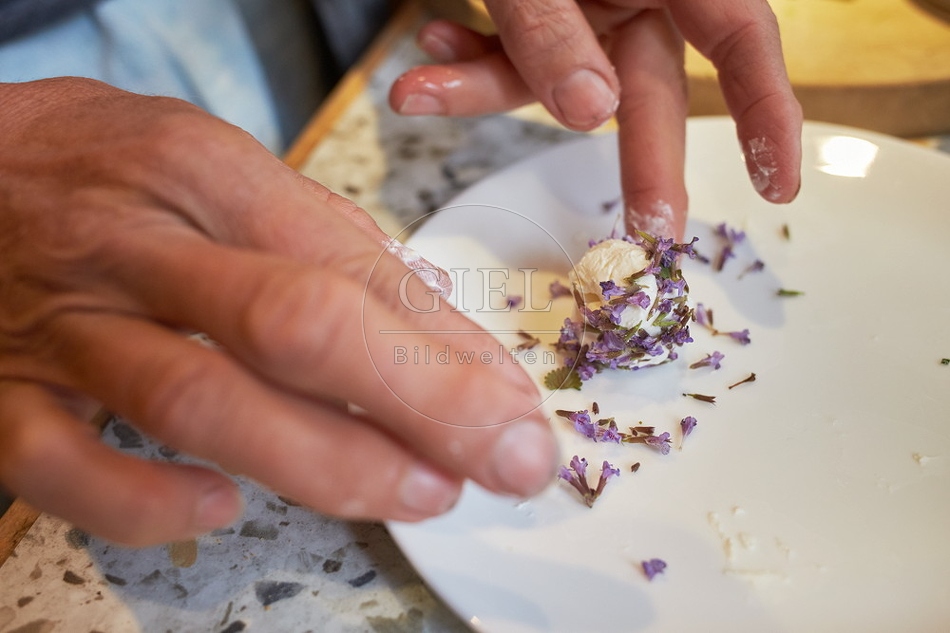 106646 Frischkäsekugel mit Gundemann herstellen