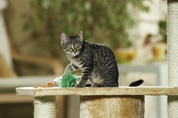 Alle Bilder im Archiv