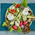 098136 Frühlings-Salat