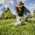 108085 Frau sammelt Champignons in der Wiese