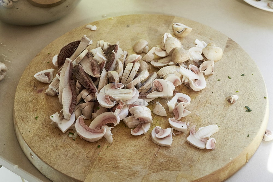 108216 Wiesen-Champignon (Agaricus campestris)