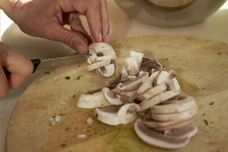 108219 Wiesen-Champignon (Agaricus campestris)