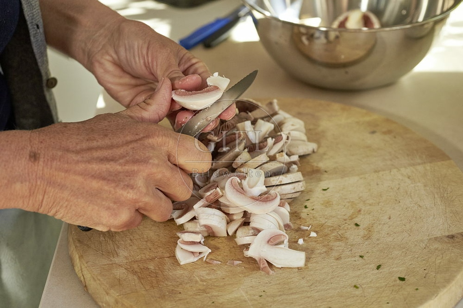 108220 Wiesen-Champignon (Agaricus campestris)
