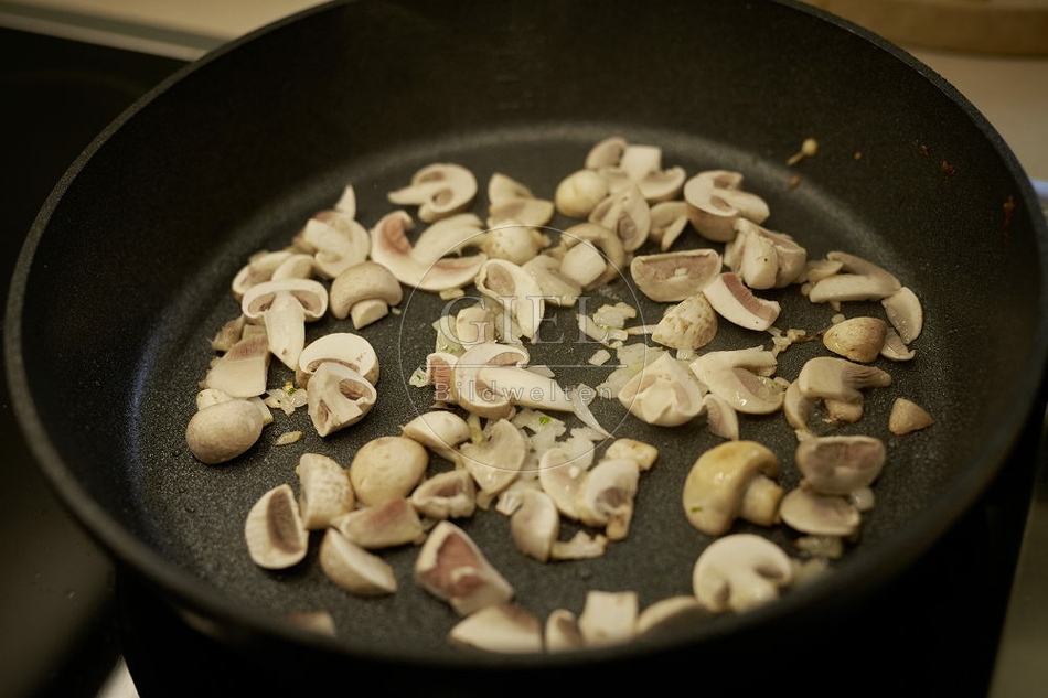108222 Wiesen-Champignon (Agaricus campestris)
