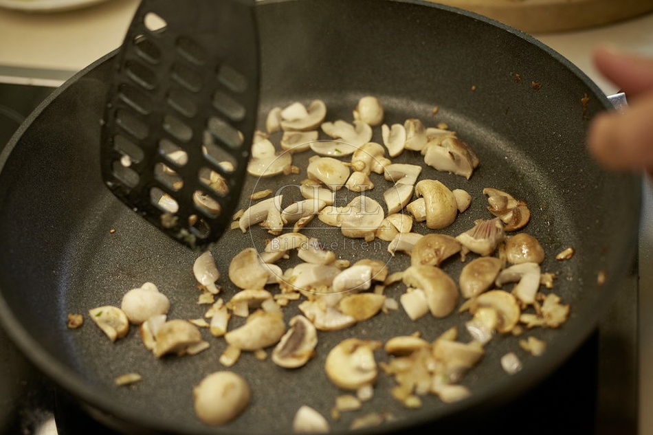 108223 Wiesen-Champignon (Agaricus campestris)