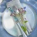 099017 Sommerliches Tischgedeck