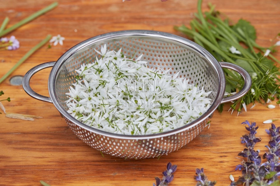 112800 Blüten des Bärlauch für die Verwendung in der Küche