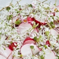 112807 Salat mit Radieschen, Bärlauch und Gänseblümchen