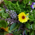113617 Kräuter und essbare Blüten