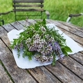 113625 Kräuter auf einem Gartentisch