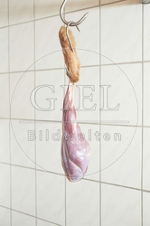 114346 Wildbret vom Feldhasen