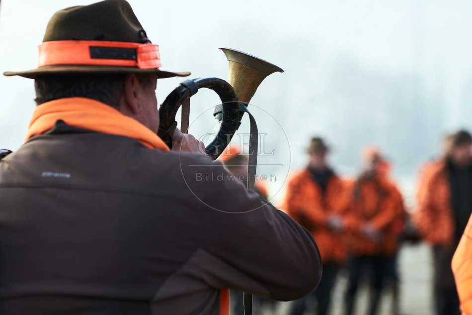 114351 Treibjagd, Jäger, Jagdhorn