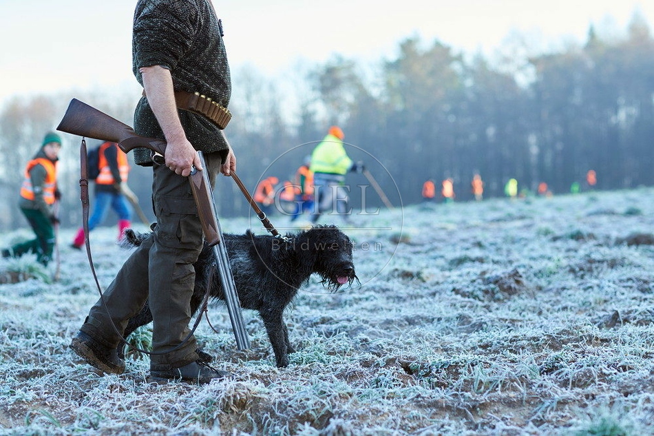 114379 Treibjagd, Jäger