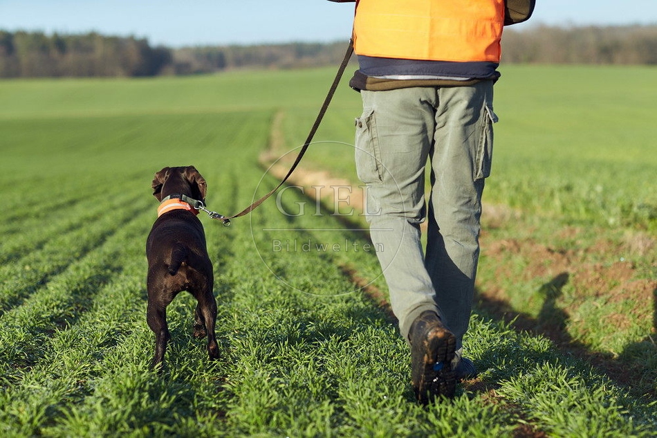 114402 Treibjagd, Jäger