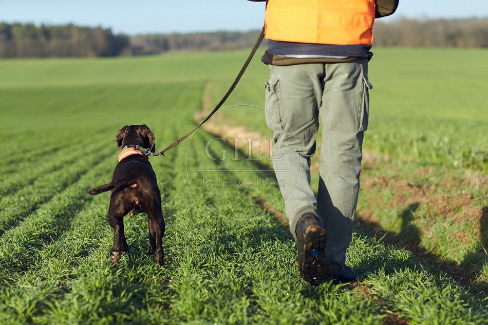 114403 Treibjagd, Jäger