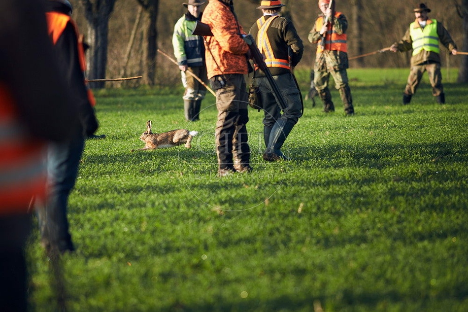 114408 Treibjagd, Jäger