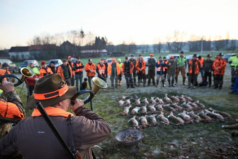 114444 Jagdstrecke nach einer Treibjagd