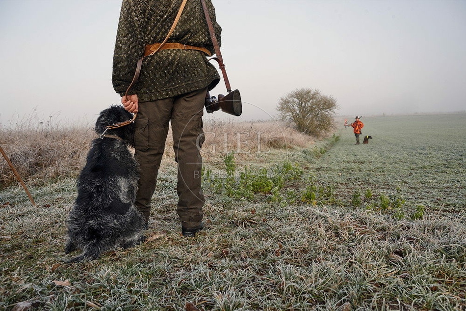 114445 Jäger mit Deutsch Drahthaar bei Treibjagd