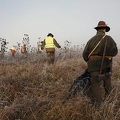 114446 Jäger mit Deutsch Drahthaar bei Treibjagd