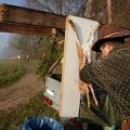 114448 Erlegter Feldhase wird ausgenommen, Treibjagd